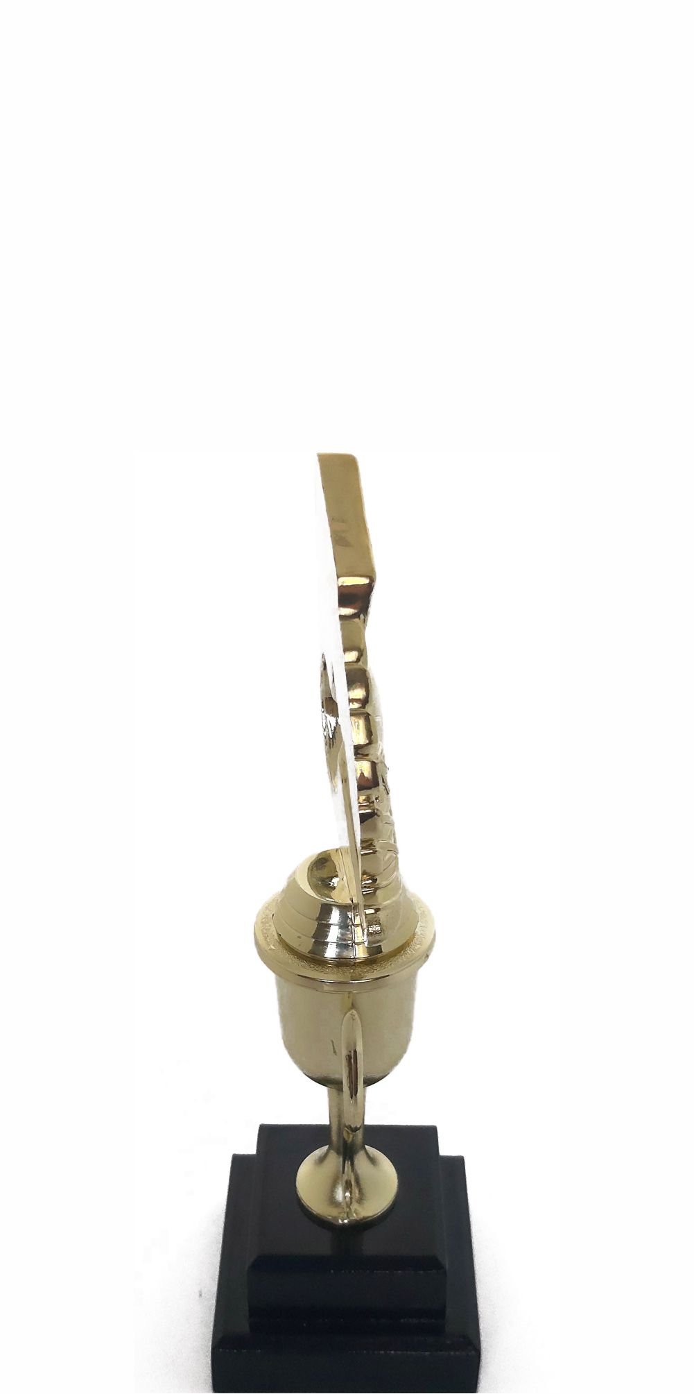 Soccer Wreath Trophy 250mm
