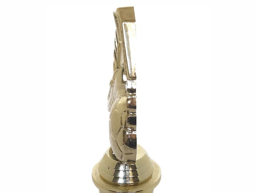 Soccer Wreath Trophy 250mm