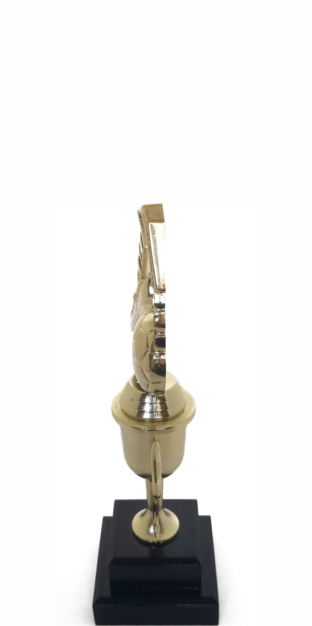 Soccer Wreath Trophy 250mm