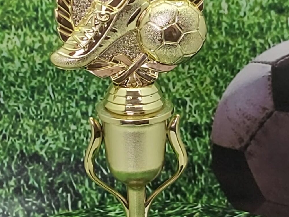 Soccer Wreath Trophy 250mm