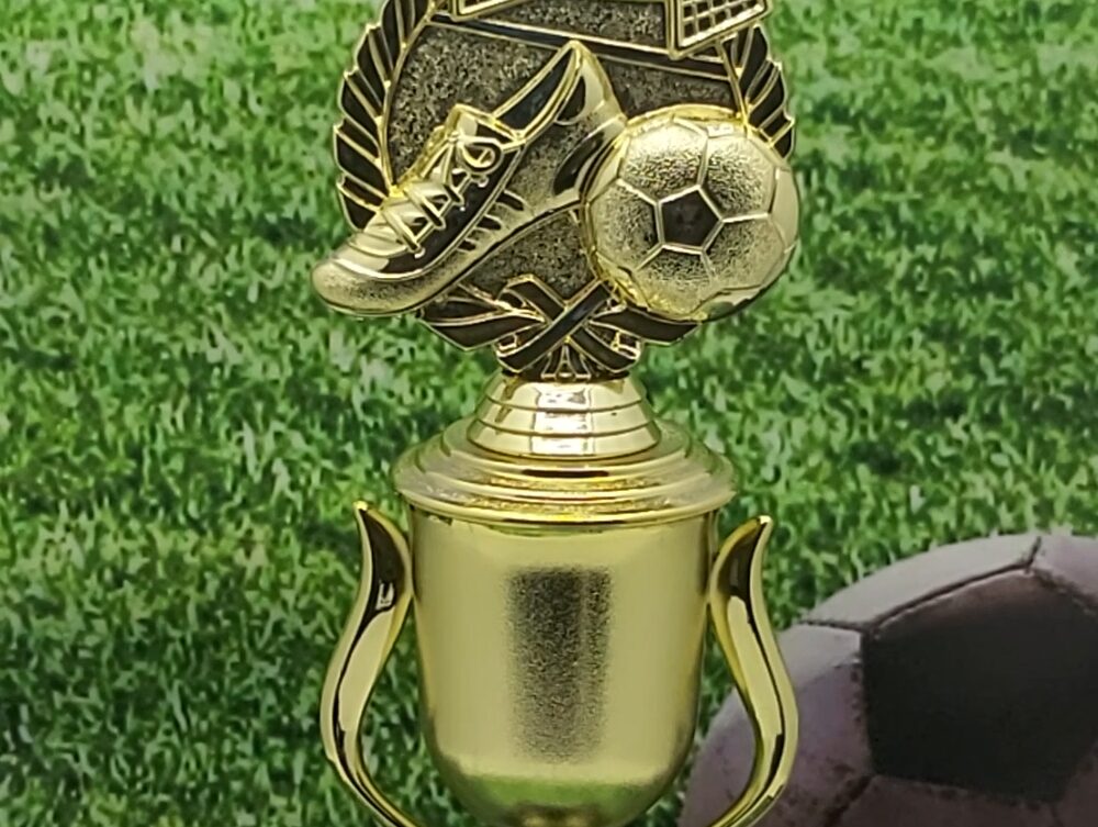Soccer Wreath Trophy 310mm
