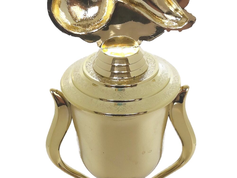 Soccer Wreath Trophy 350mm