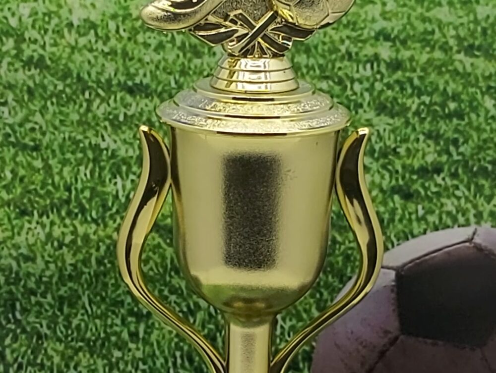 Soccer Wreath Trophy 350mm