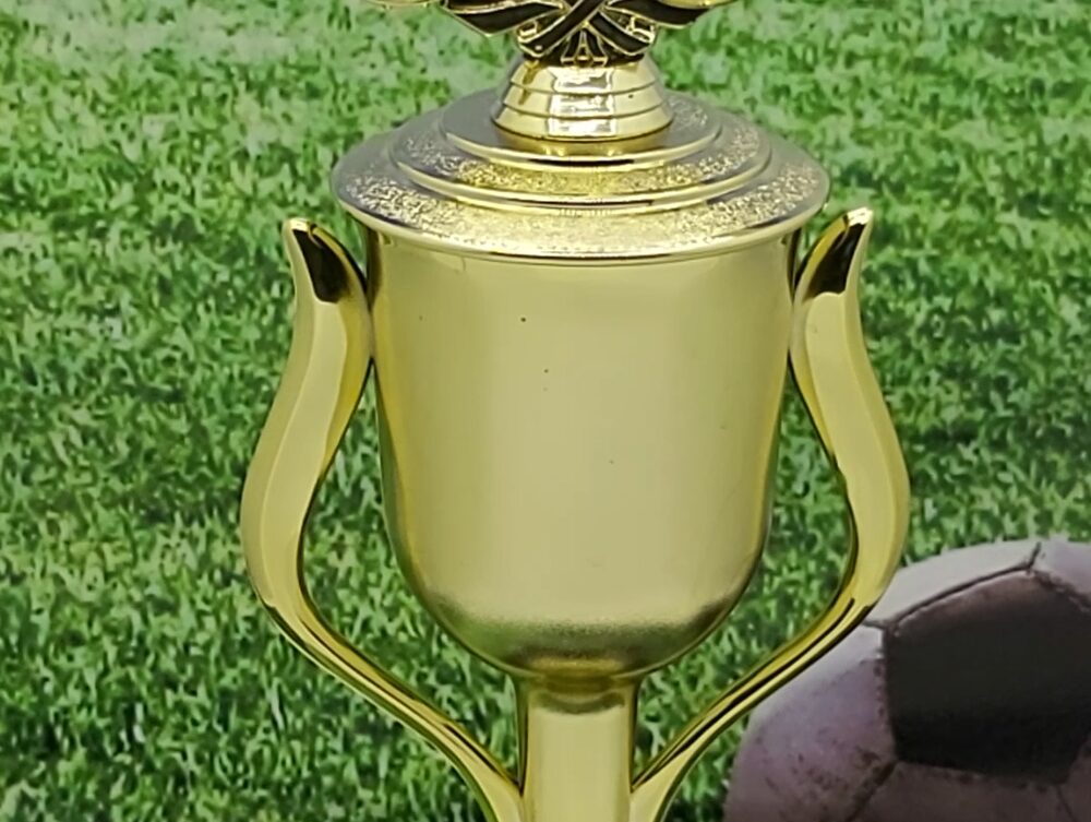 Soccer Wreath Trophy 390mm