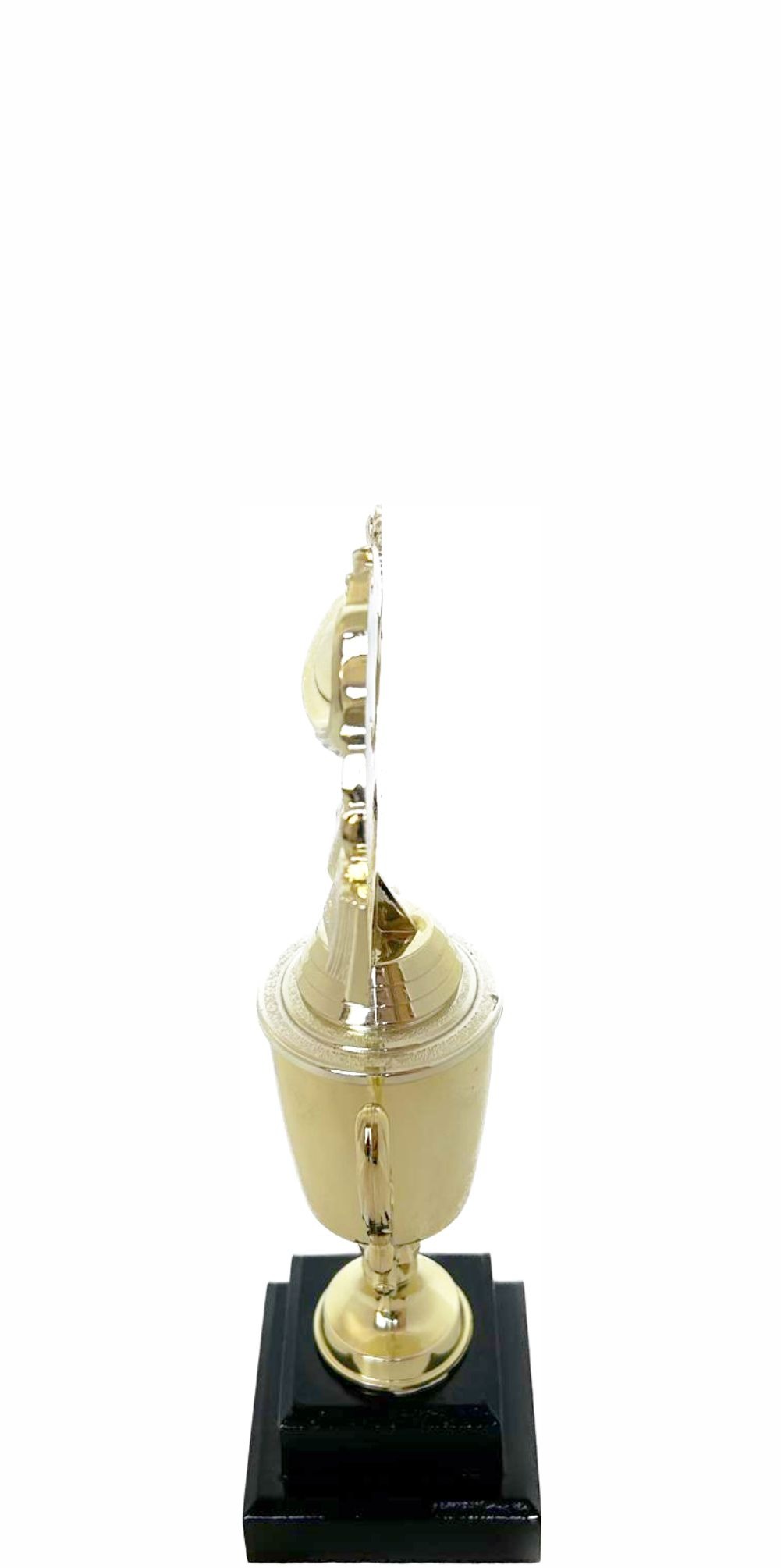 Lamp Of Knowledge Lamp Wreath Trophy 240mm