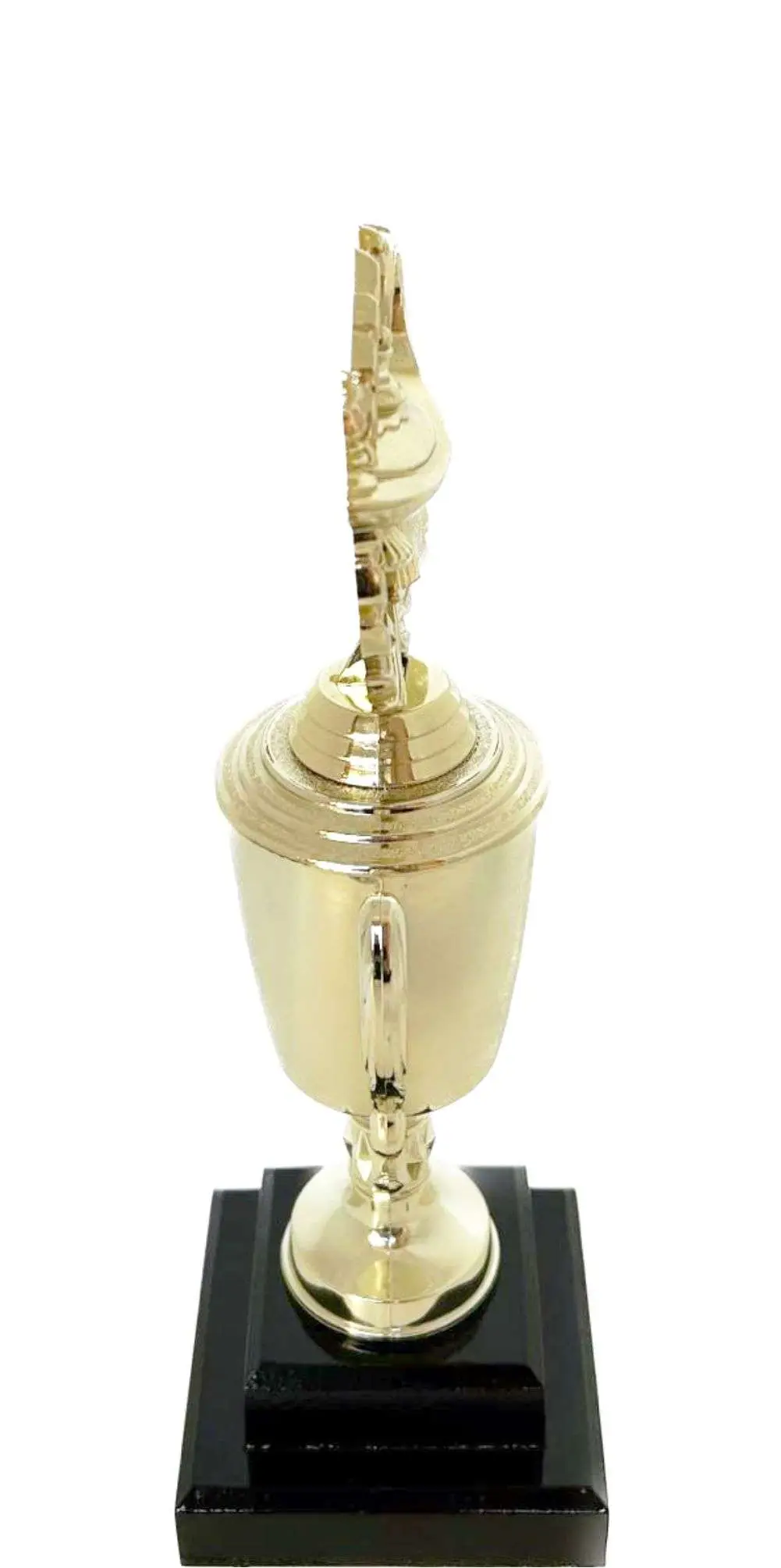 Lamp Of Knowledge Lamp Wreath Trophy 300mm