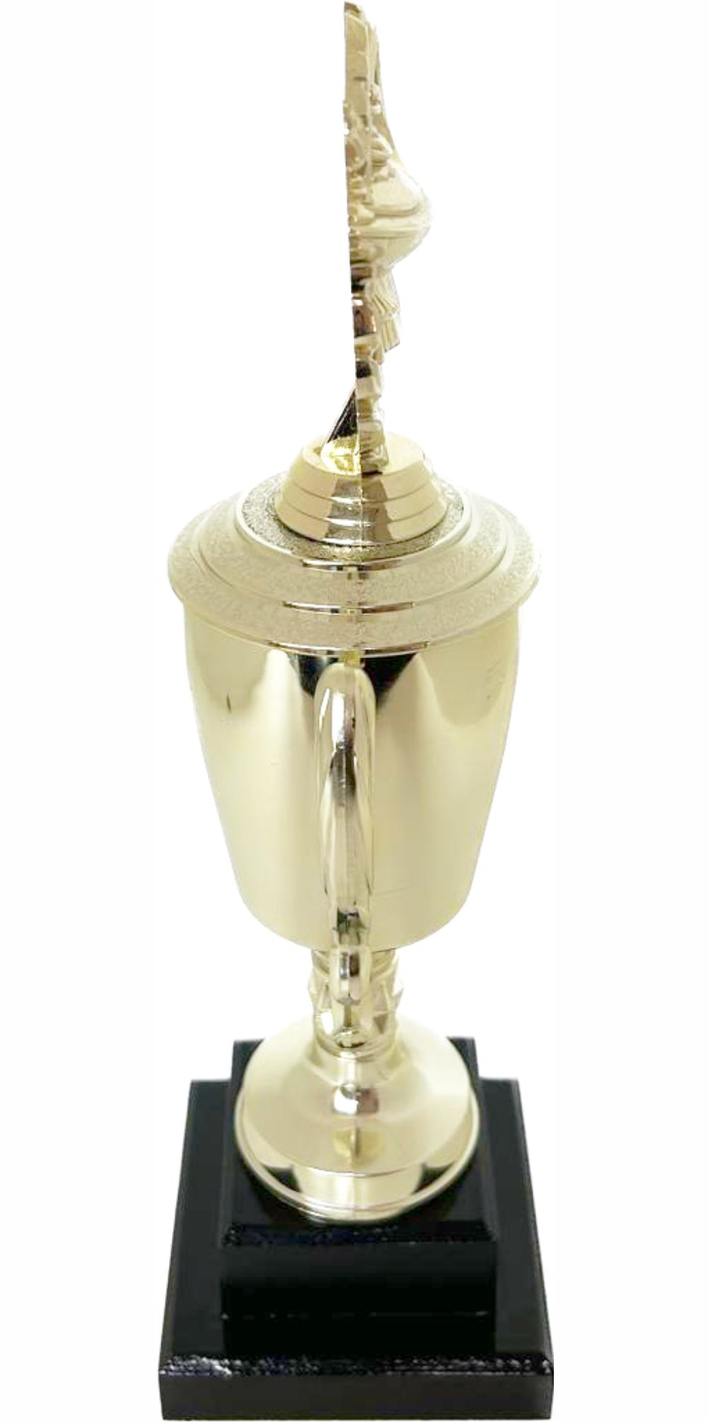 Lamp Of Knowledge Lamp Wreath Trophy 380mm