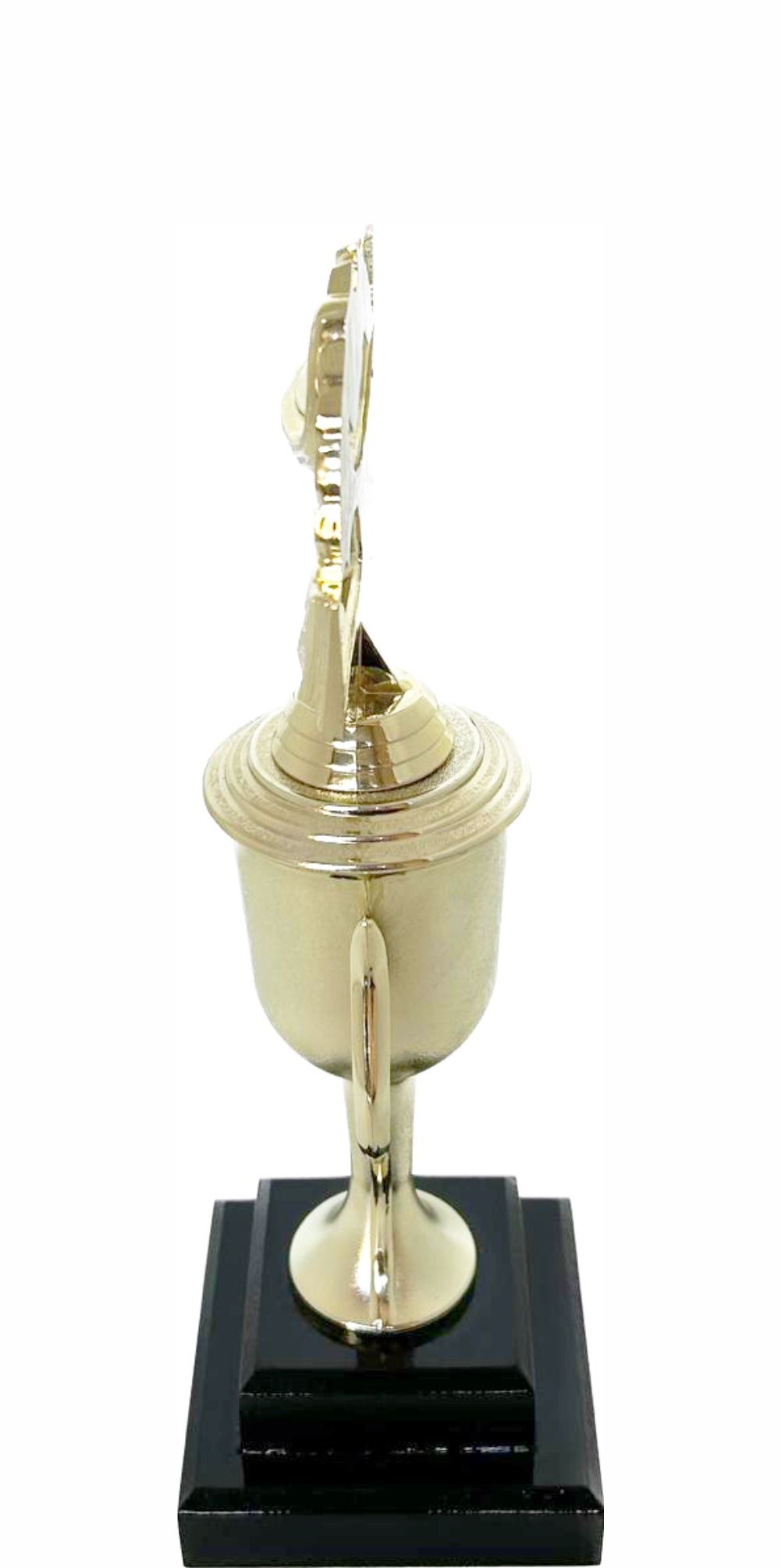 Lamp Of Knowledge Lamp Wreath Trophy 300mm
