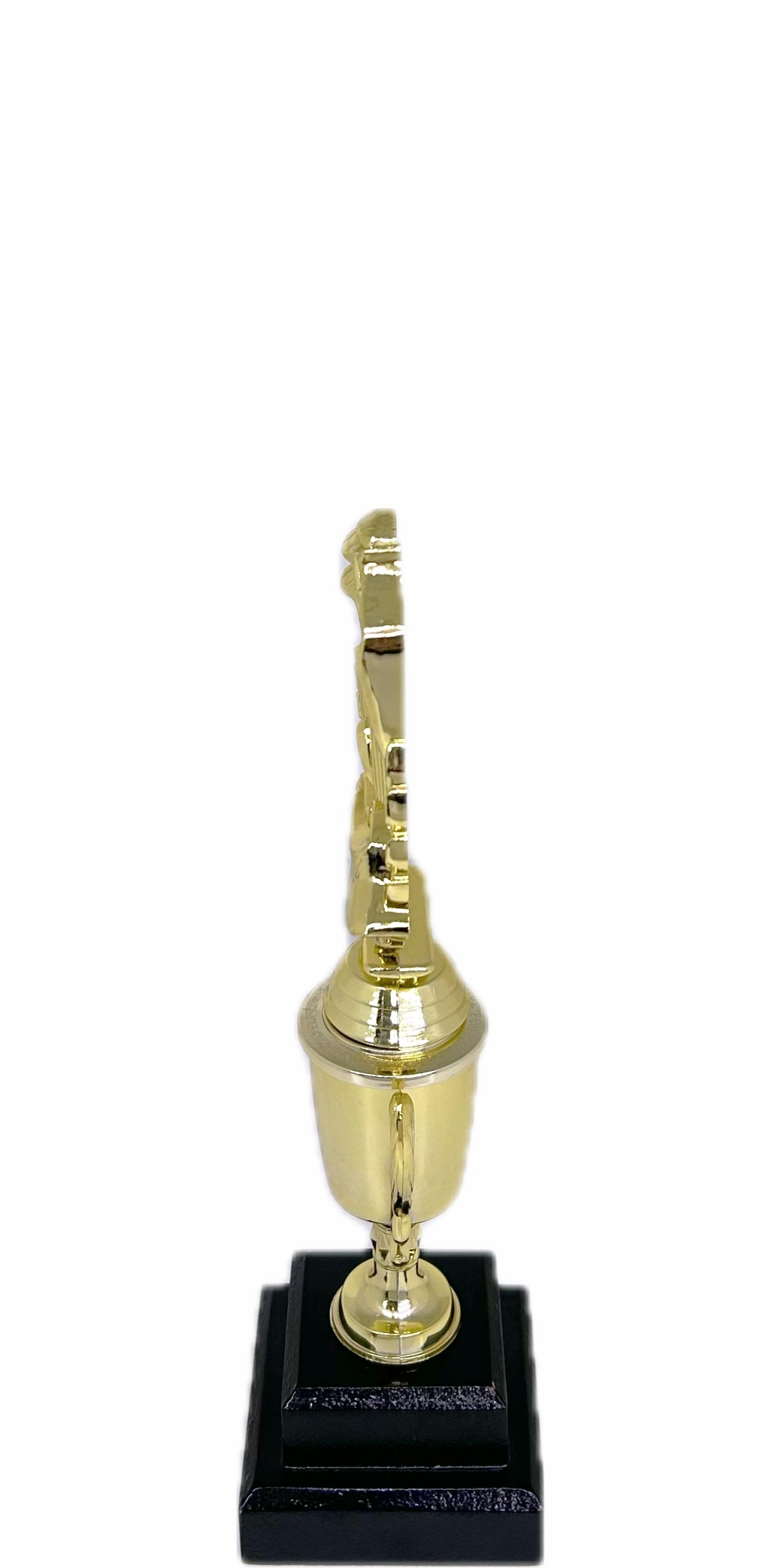 Golf Wreath Trophy 270mm
