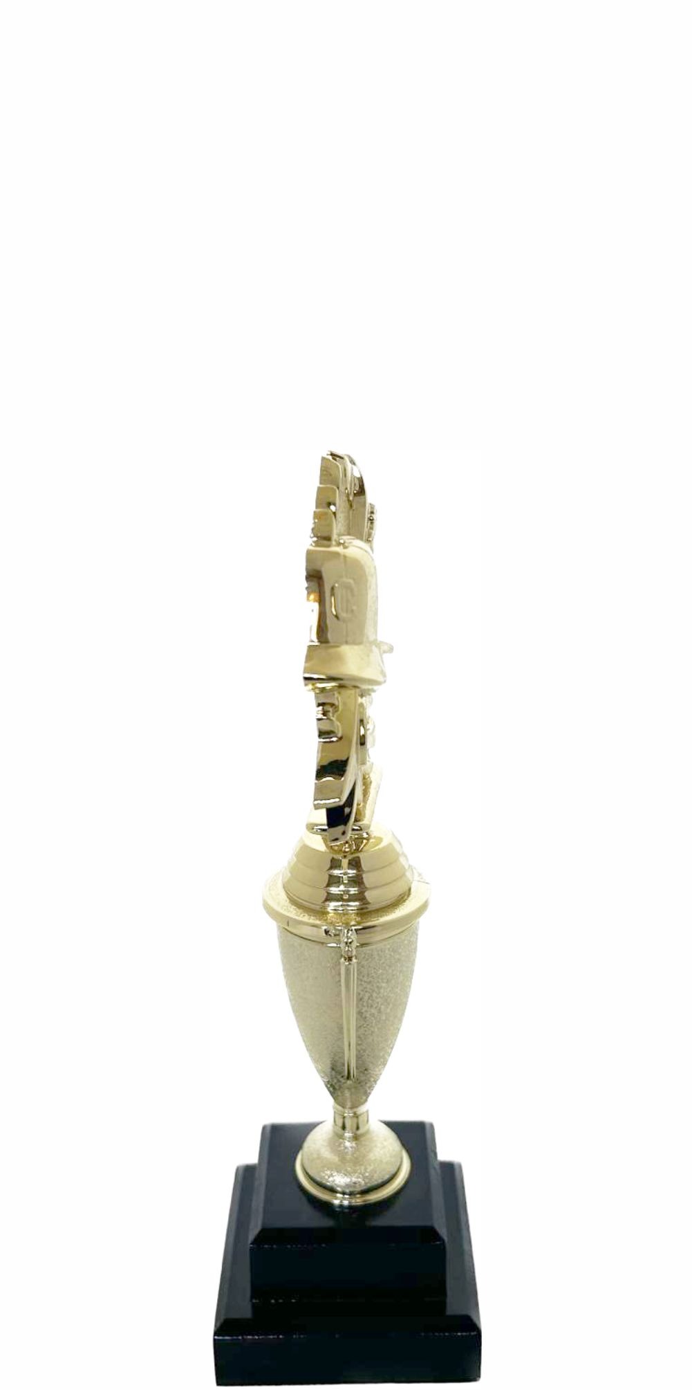 Coach Wreath Trophy 255mm