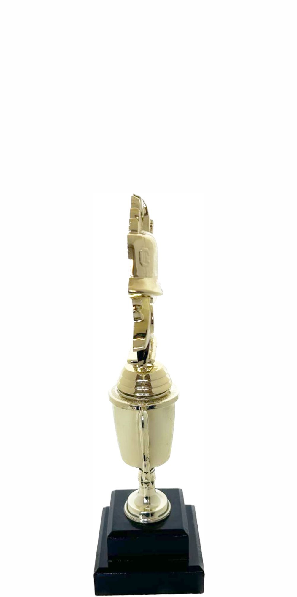 Coach Wreath Trophy 255mm