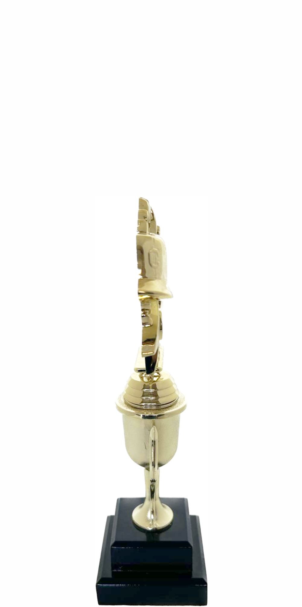 Coach Wreath Trophy 255mm