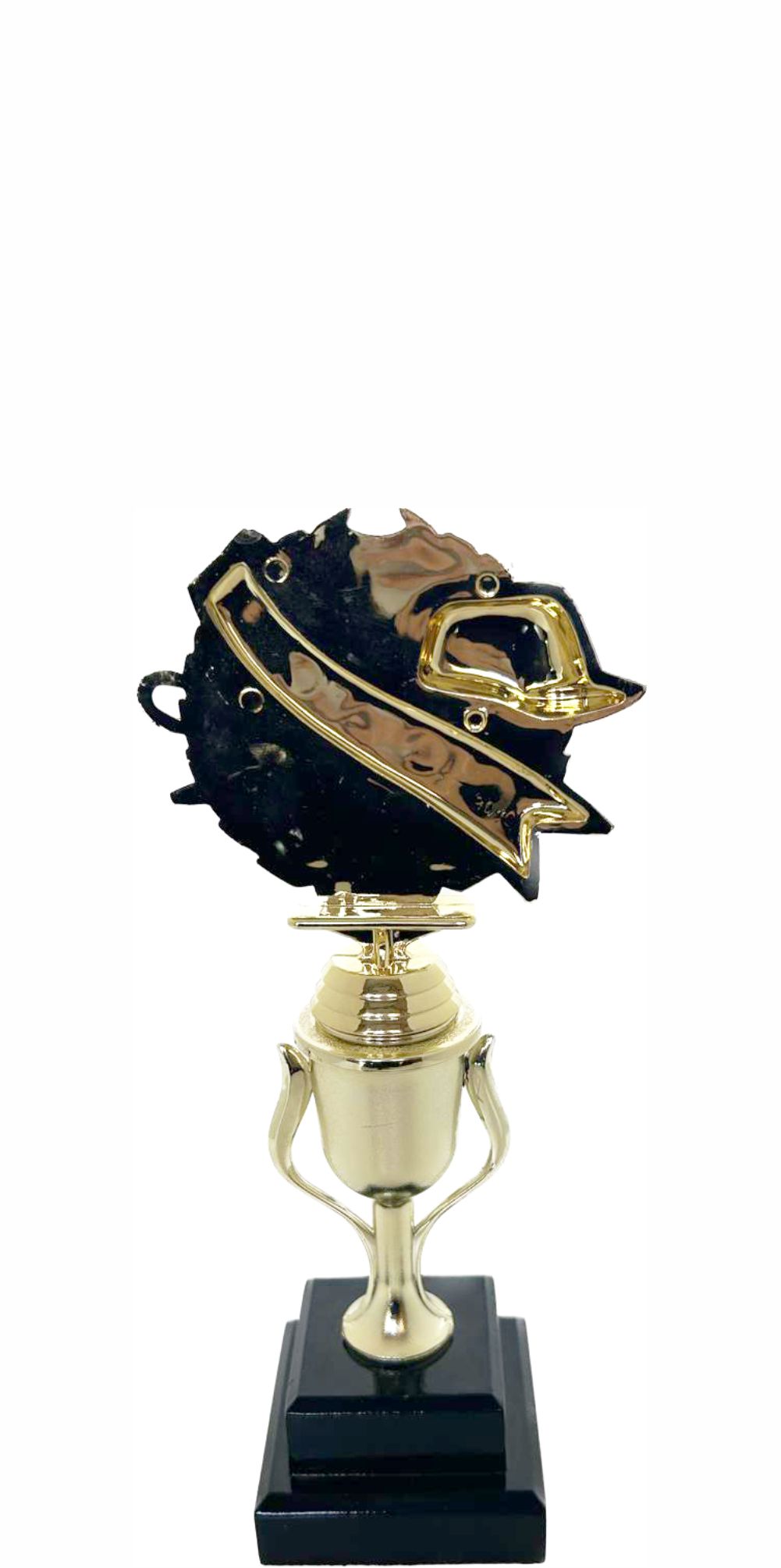 Coach Wreath Trophy 255mm