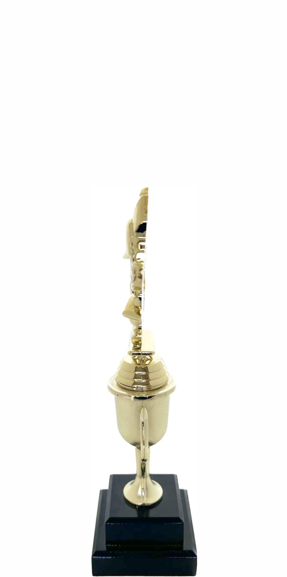 Coach Wreath Trophy 255mm