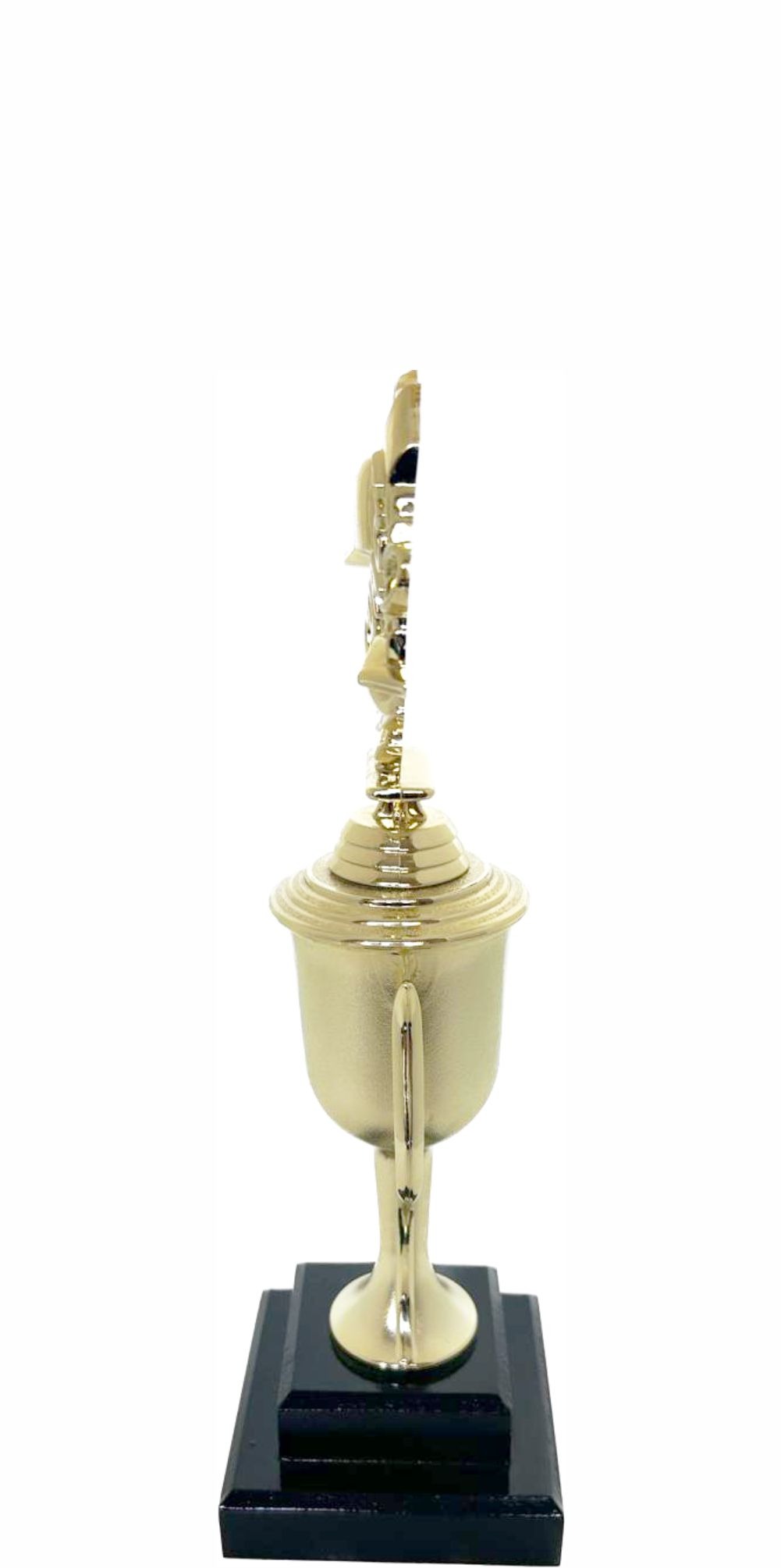 Coach Wreath Trophy 276mm
