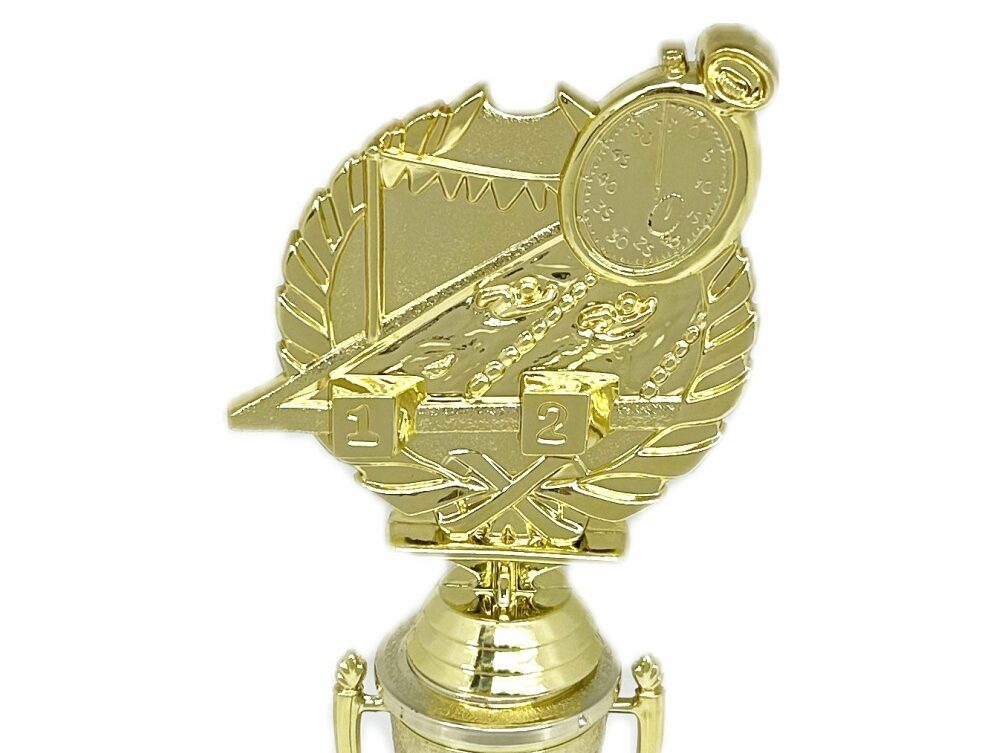 Swimming Wreath Trophy 255mm
