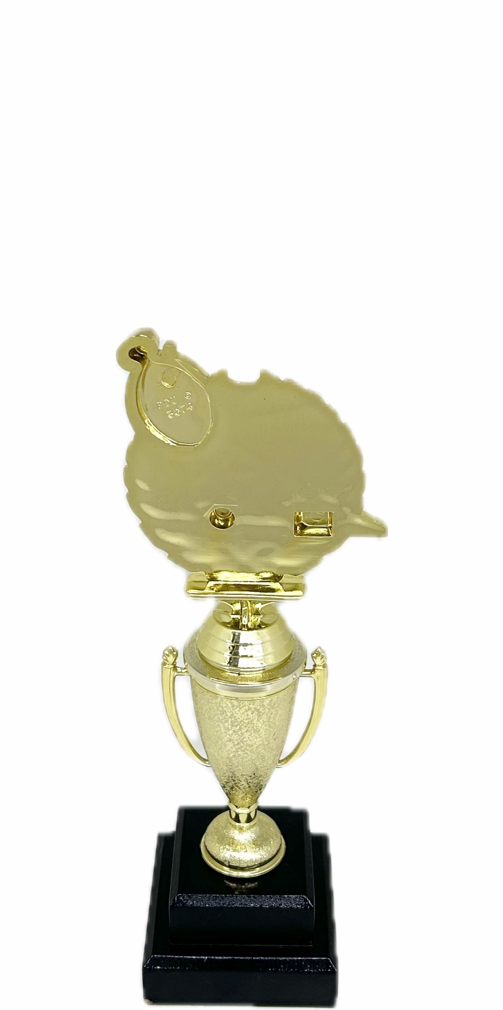 Swimming Wreath Trophy 255mm