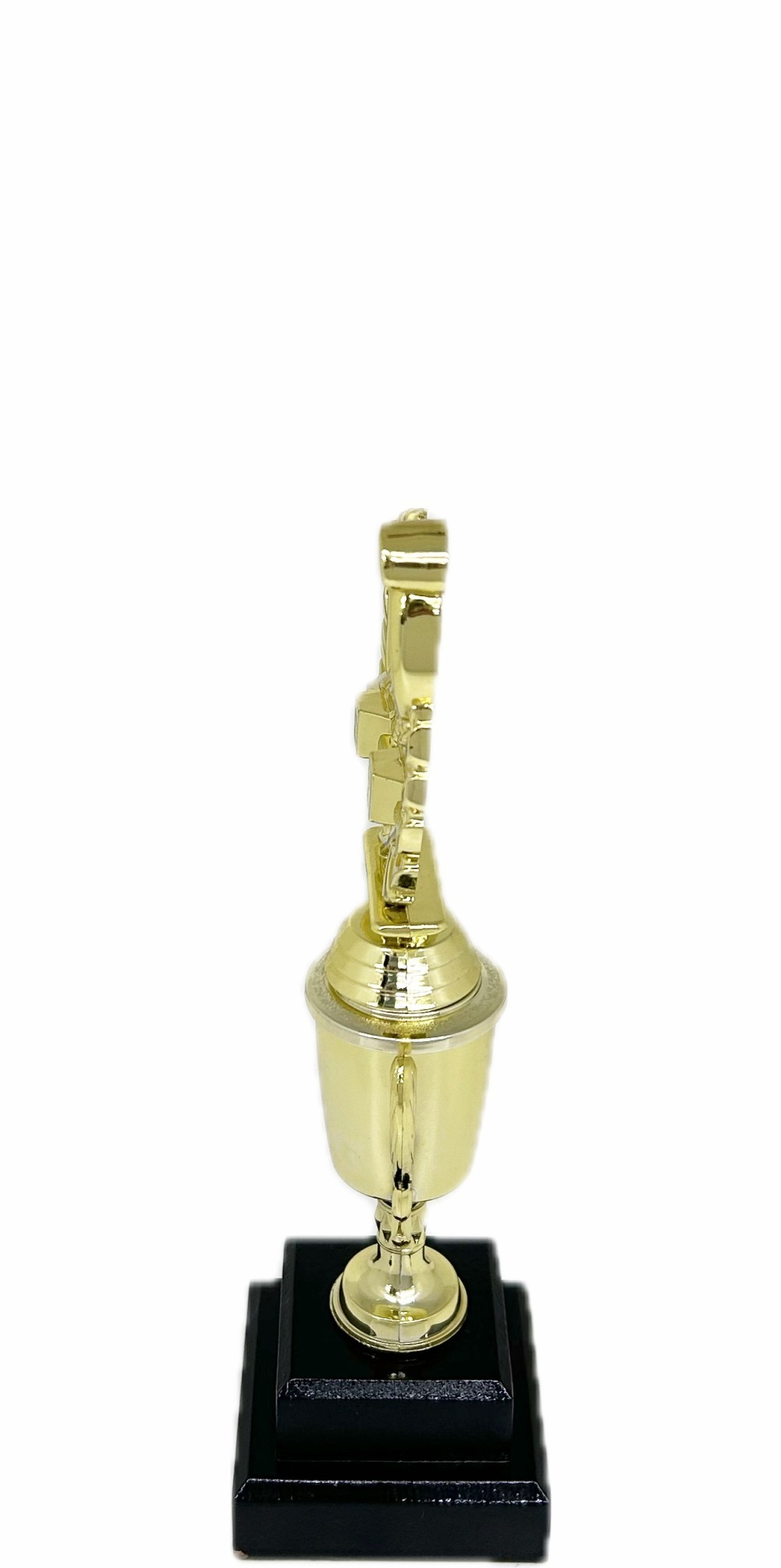 Swimming Wreath Trophy 255mm