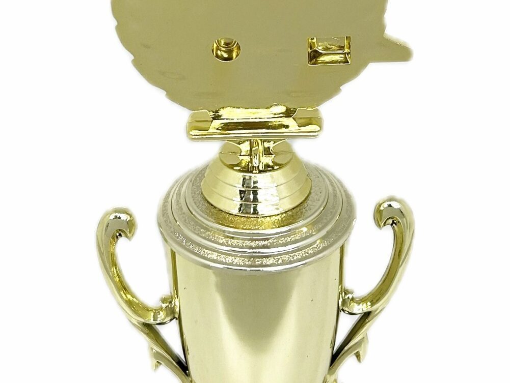 Swimming Wreath Trophy 315mm