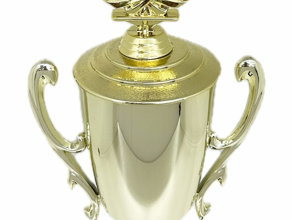 Swimming Wreath Trophy 355mm