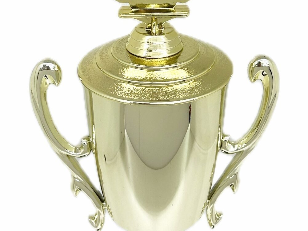 Swimming Wreath Trophy 355mm