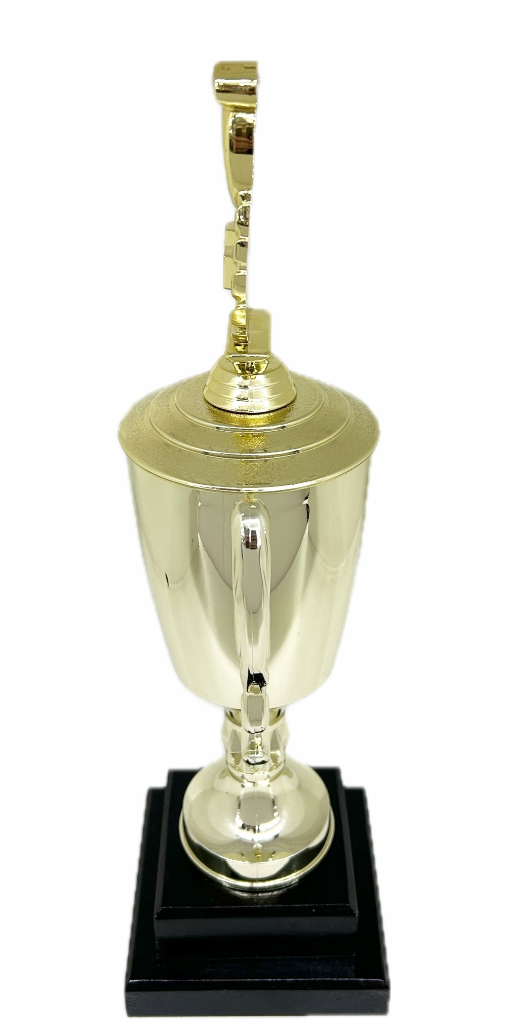 Swimming Wreath Trophy 355mm