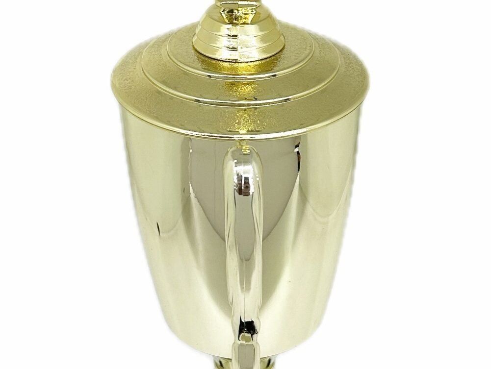 Swimming Wreath Trophy 395mm