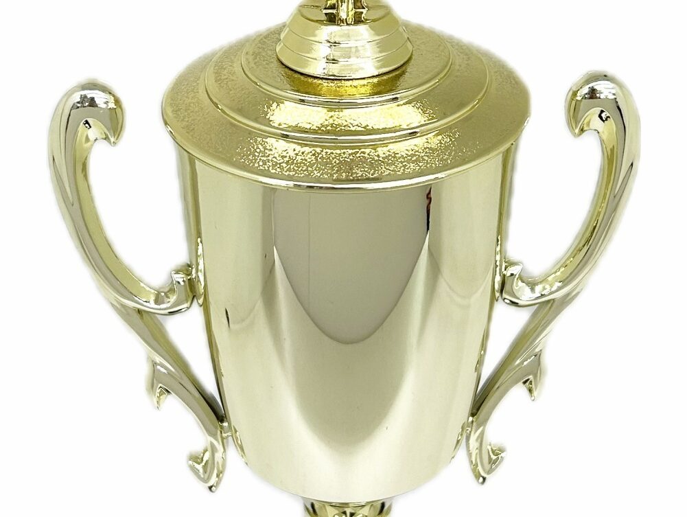Swimming Wreath Trophy 395mm