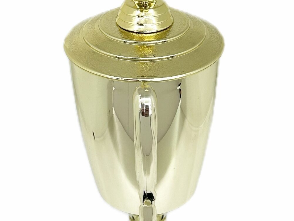 Swimming Wreath Trophy 395mm
