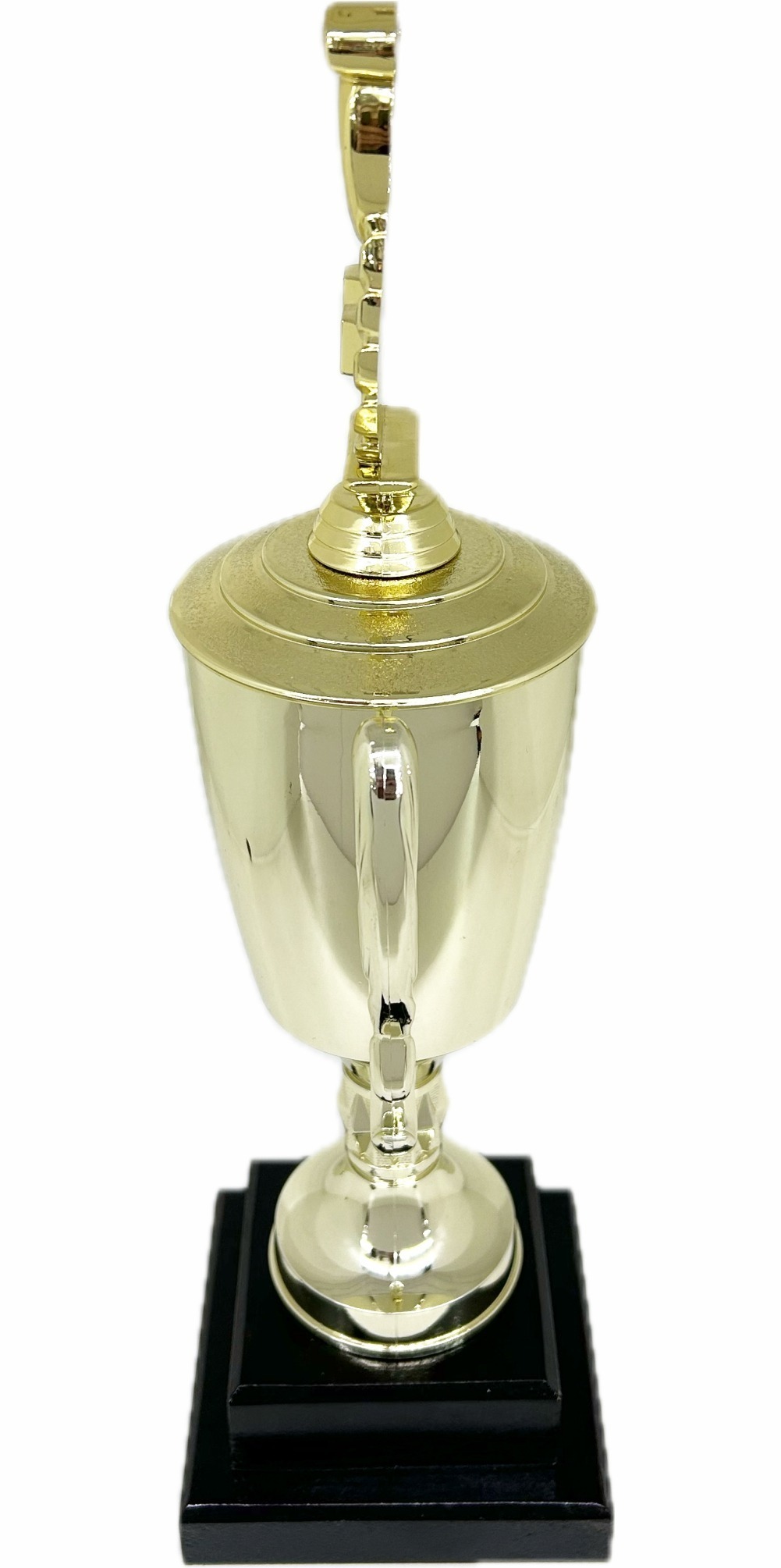 Swimming Wreath Trophy 395mm