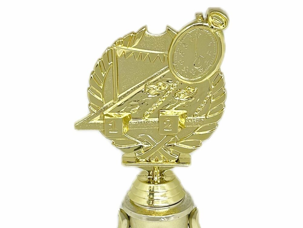 Swimming Wreath Trophy 255mm