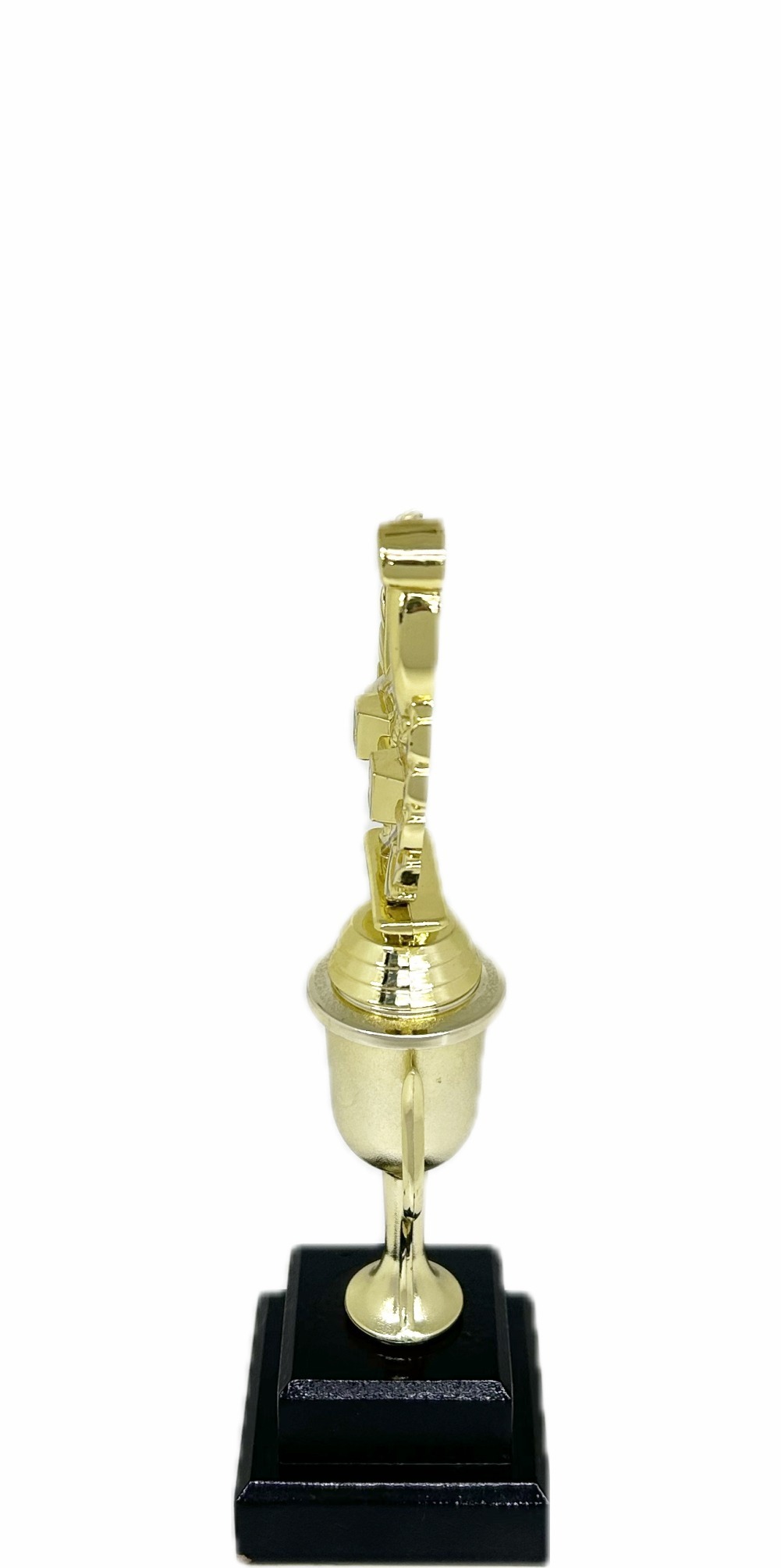 Swimming Wreath Trophy 255mm