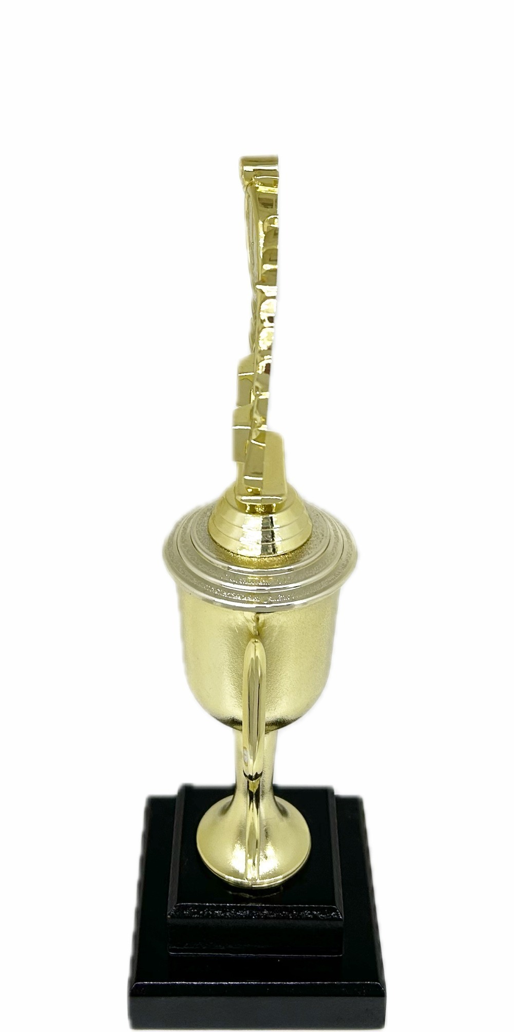 Swimming Wreath Trophy 315mm