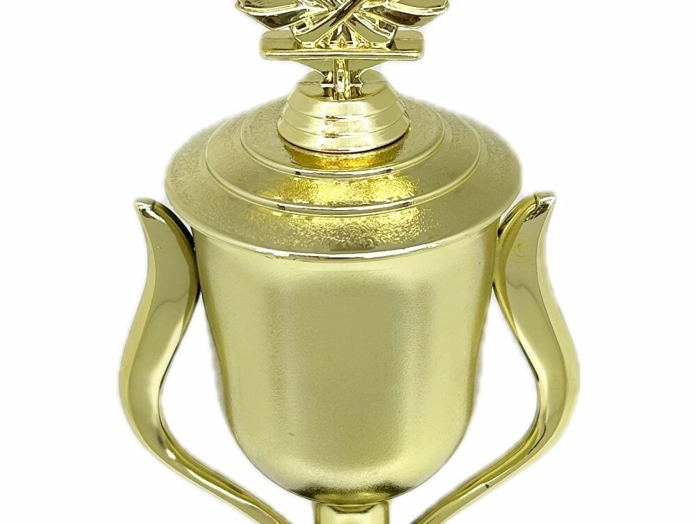 Swimming Wreath Trophy 355mm