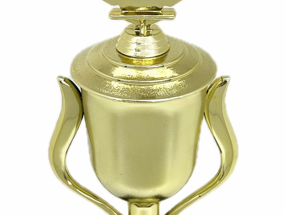 Swimming Wreath Trophy 355mm
