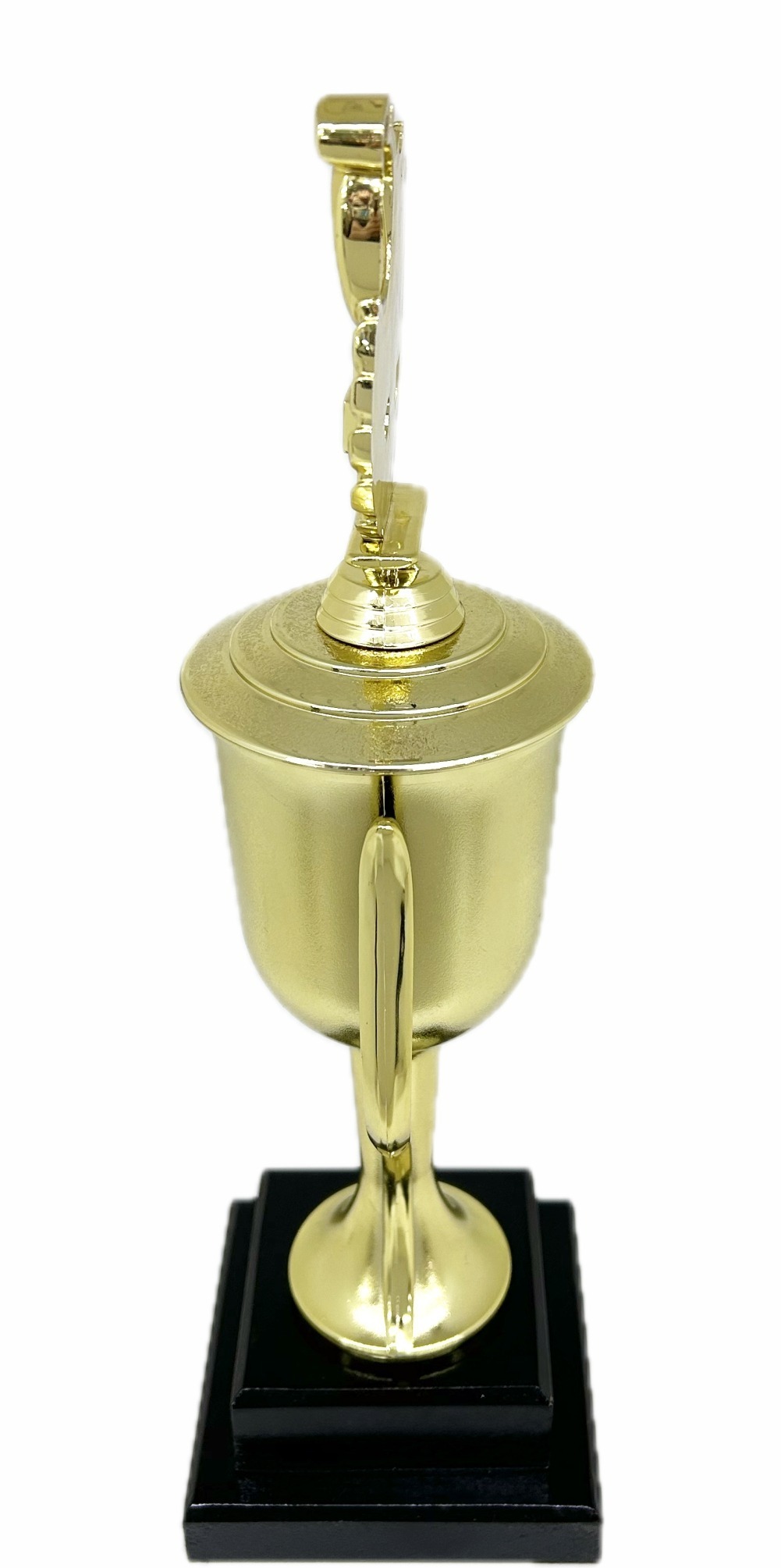 Swimming Wreath Trophy 355mm