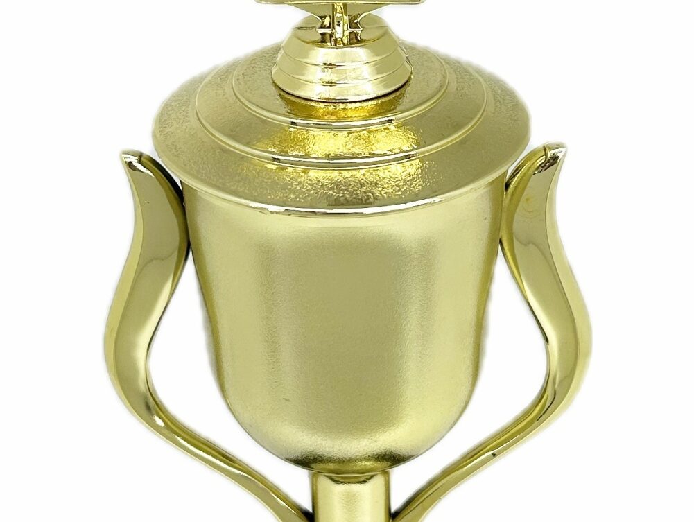 Swimming Wreath Trophy 395mm