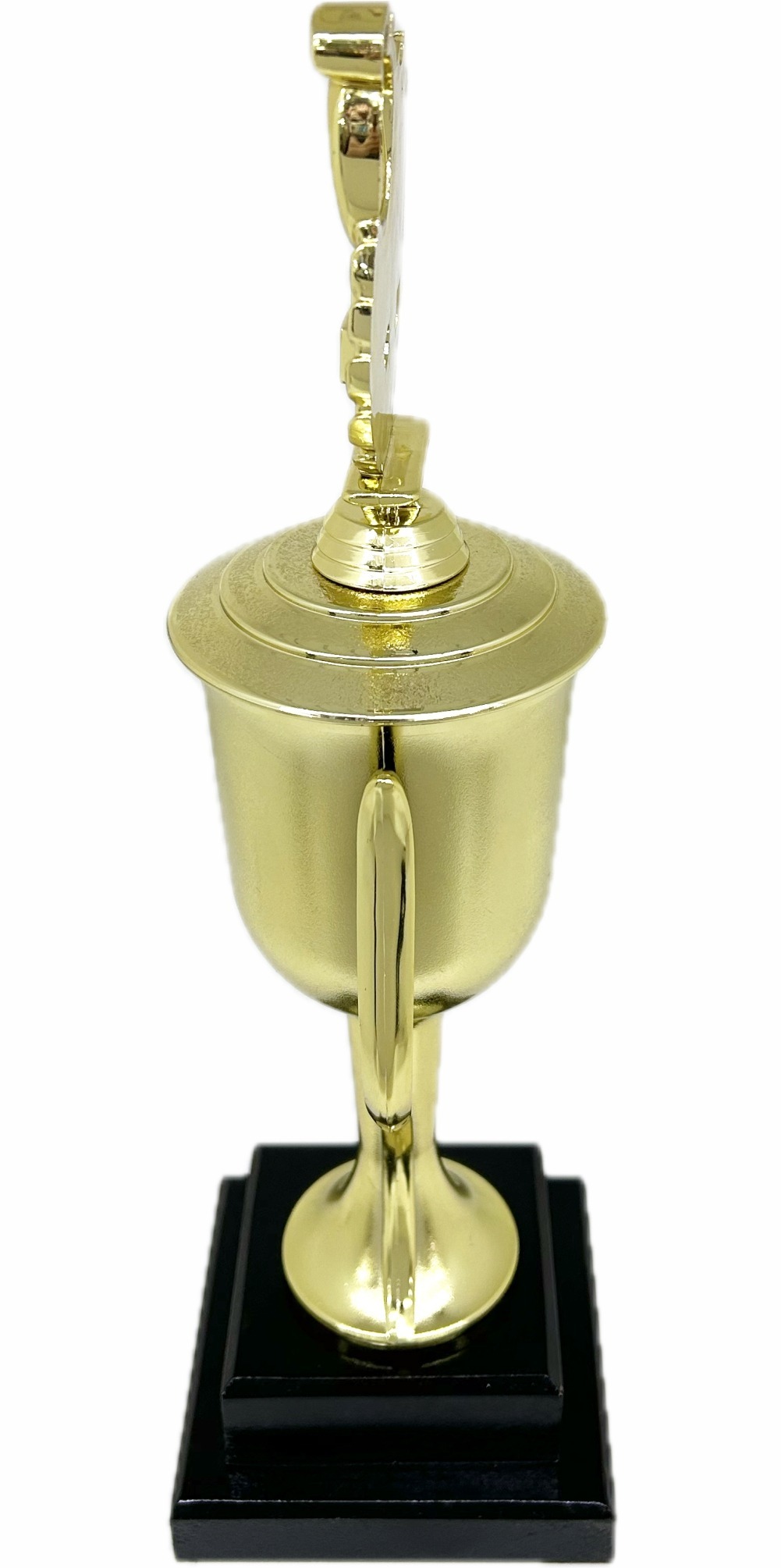 Swimming Wreath Trophy 395mm