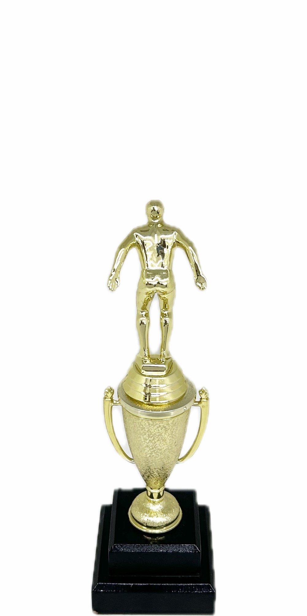 Swimming Male Trophy 245mm