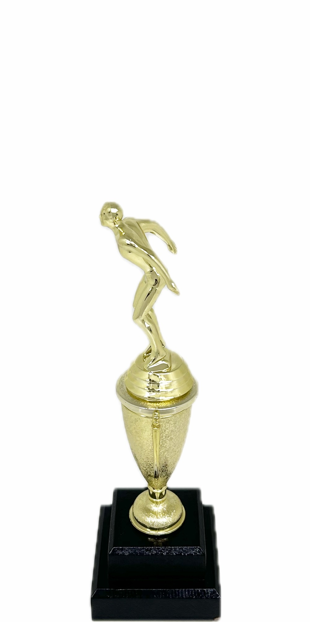 Swimming Male Trophy 245mm