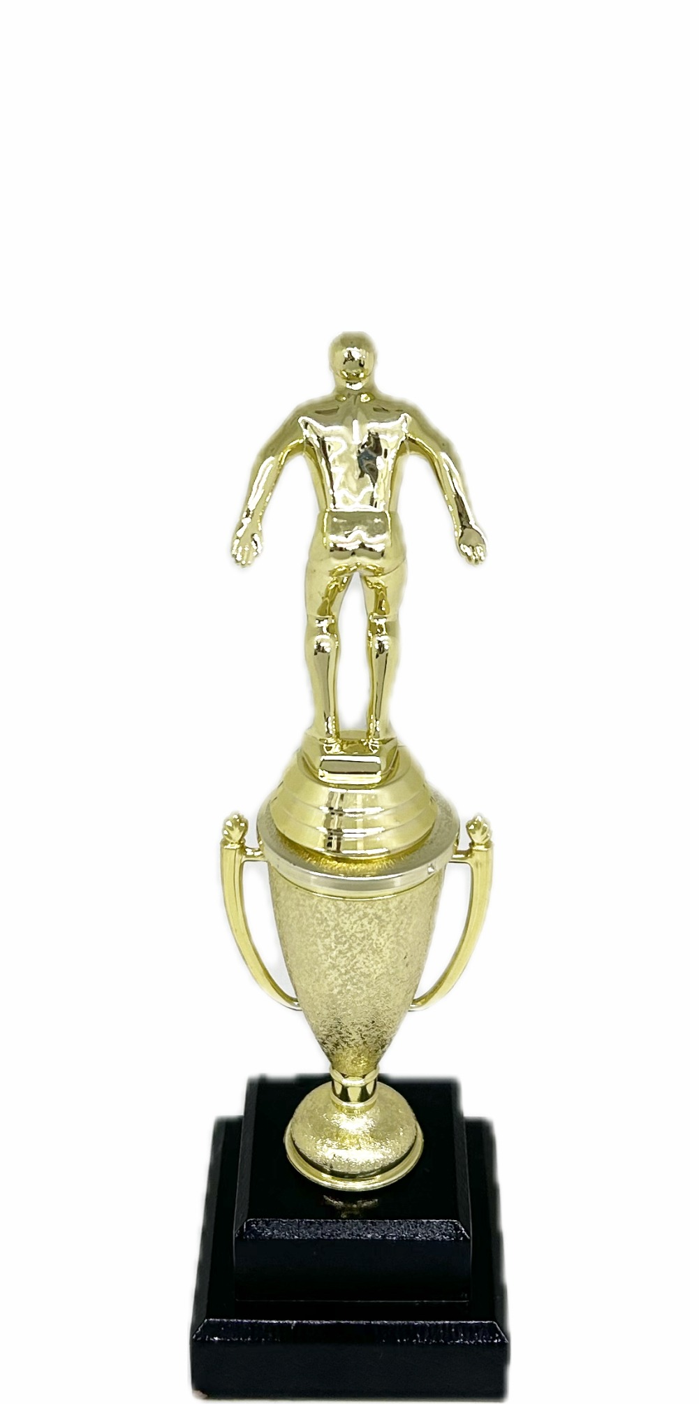 Swimming Male Trophy 270mm