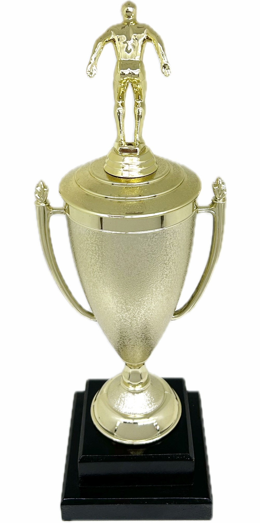 Swimming Male Trophy 385mm