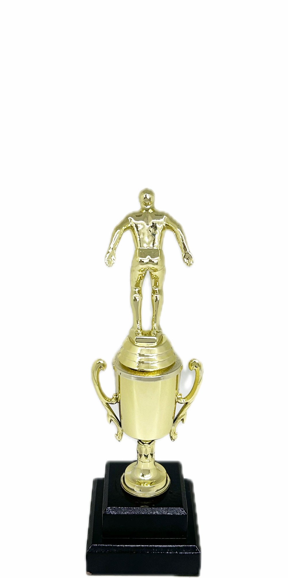 Swimming Male Trophy 245mm