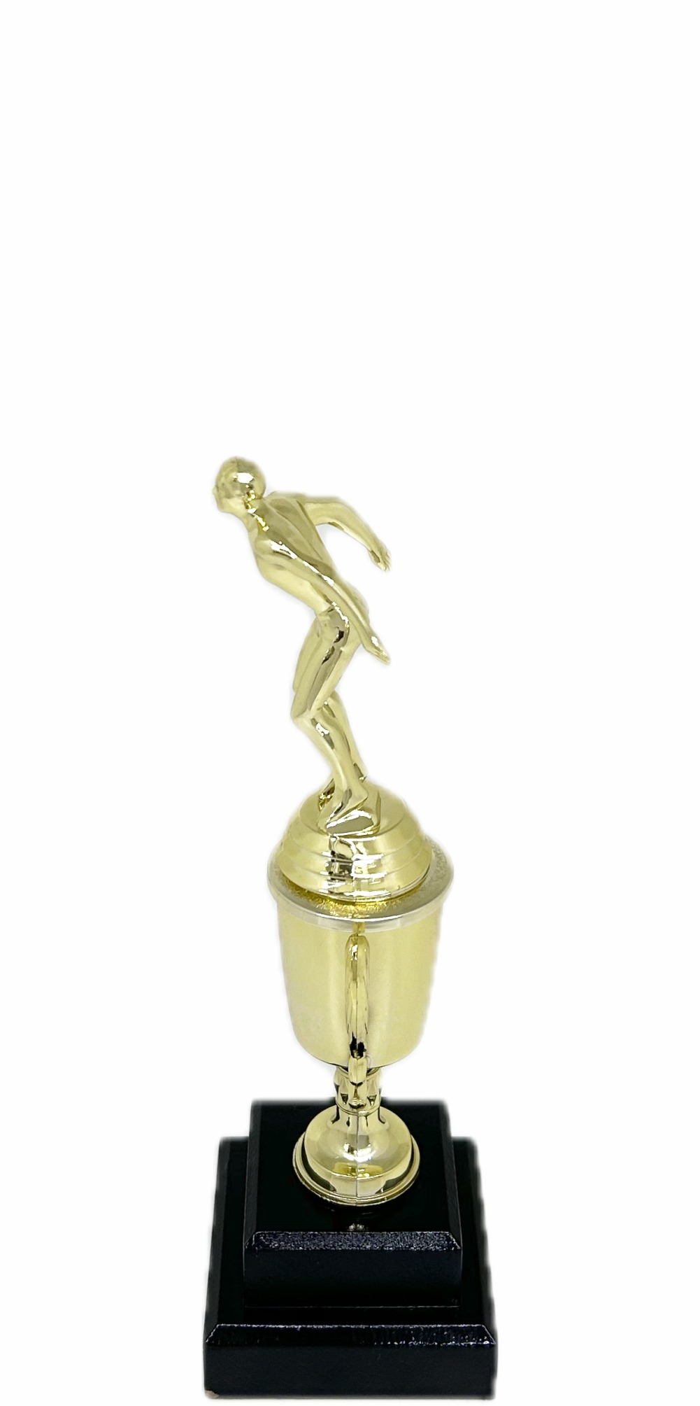 Swimming Male Trophy 245mm