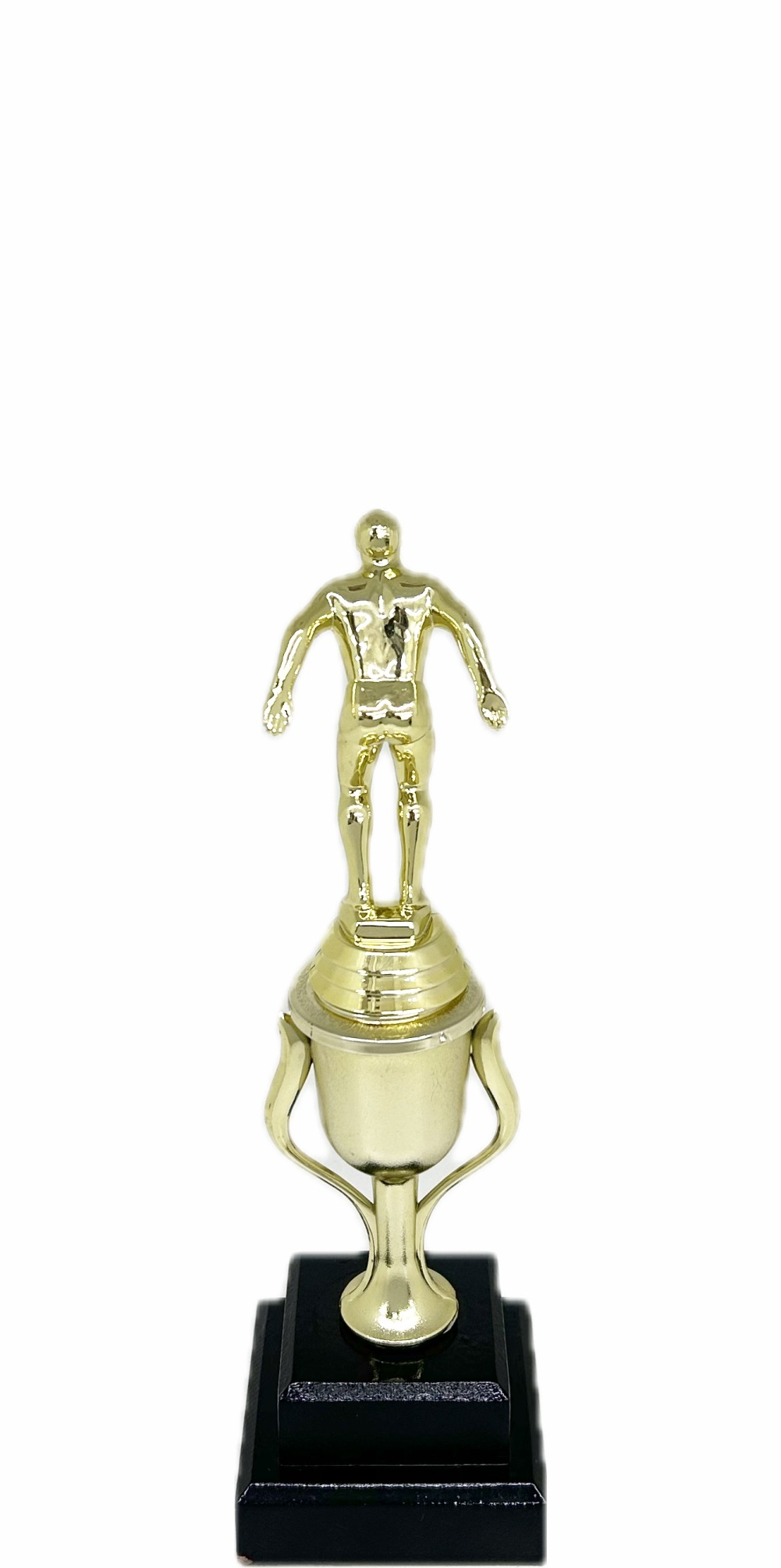Swimming Male Trophy 245mm