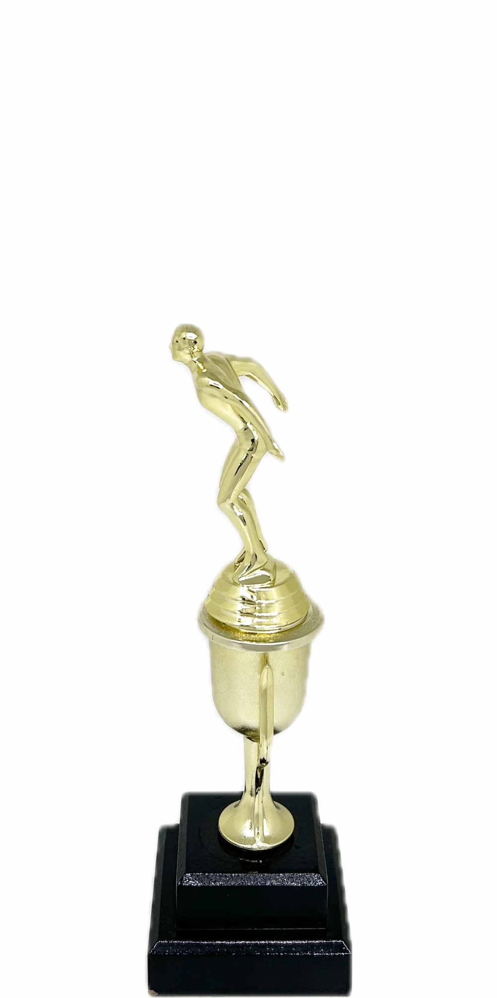 Swimming Male Trophy 245mm