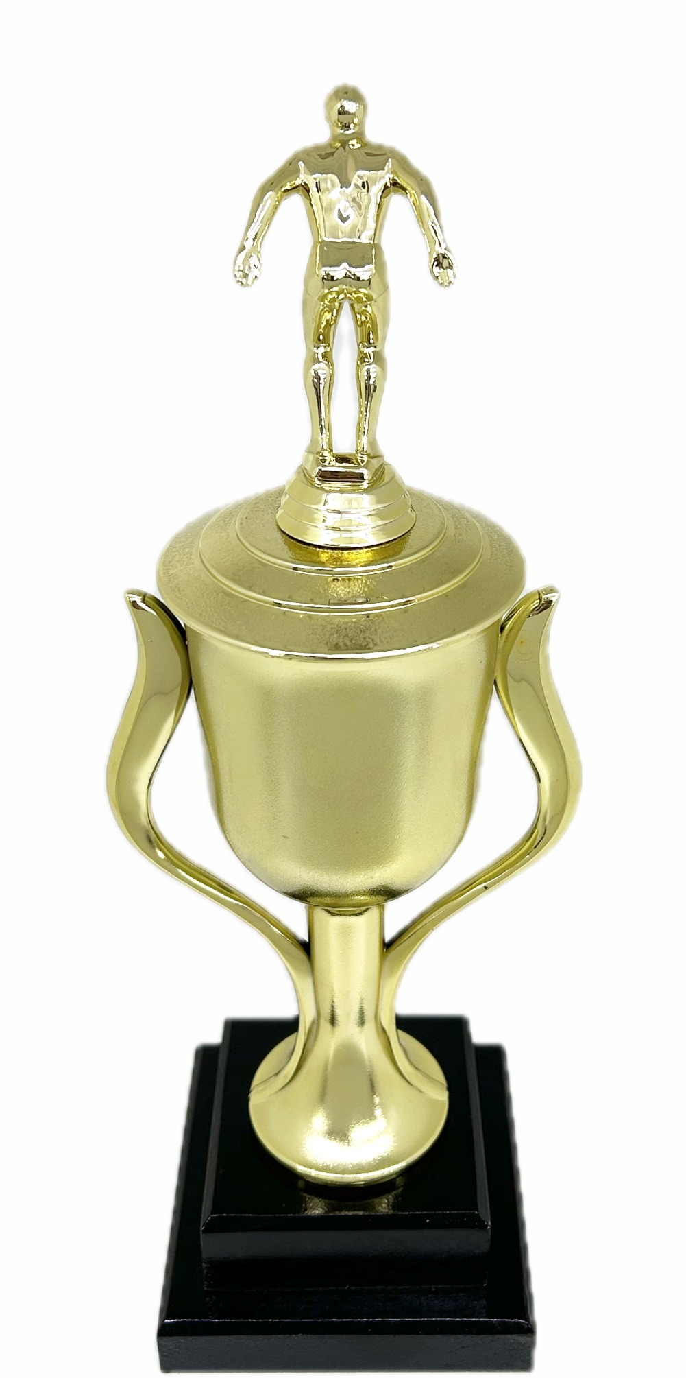 Swimming Male Trophy 345mm