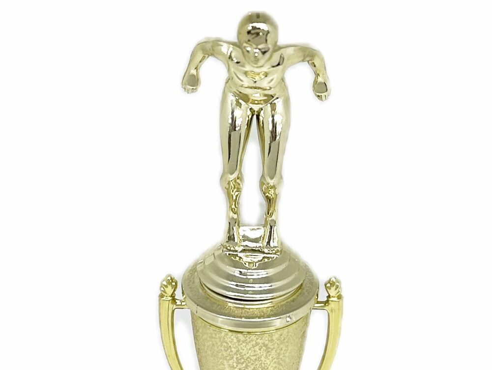 Swimmer Female Trophy 245mm
