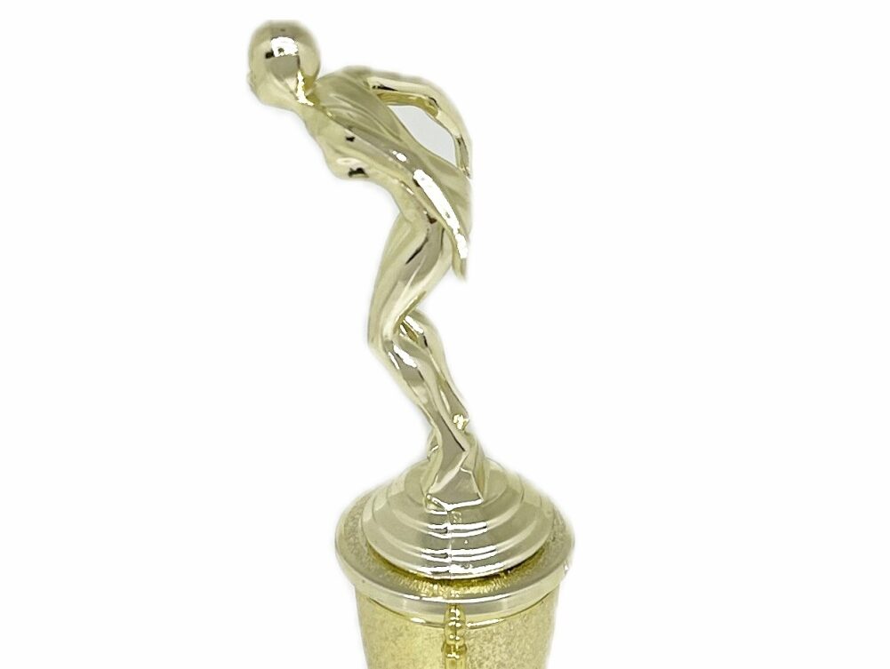Swimmer Female Trophy 245mm