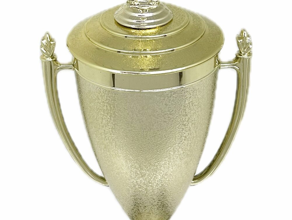 Swimmer Female Trophy 345mm